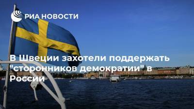 В Швеции захотели поддержать "сторонников демократии" в России