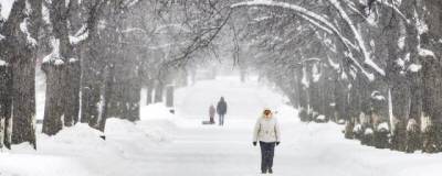 В Москве с начала зимы выпало около 70% годовой нормы снега