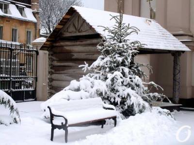Одессу снова засыпало снегом: как долго продлится непогода?