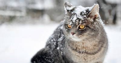 Полметра снега и лютый холод: на Украину несется циклон