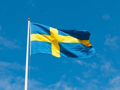 В Швеции предложили оказывать поддержку сторонникам демократии в России