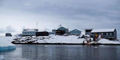 Google посвятил дудл 25-летию украинской антарктической станции Академик Вернадский