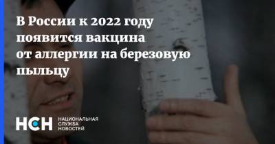 В России к 2022 году появится вакцина от аллергии на березовую пыльцу