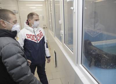 Михаил Романов посетил Центр сохранения и изучения морских млекопитающих в Репино