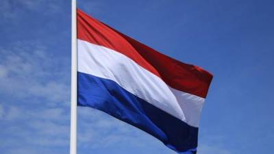 Нидерланды отказались от расследования по незакрытому воздушному пространству в деле MH17