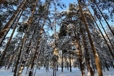Погода в Рязанской области 7 февраля