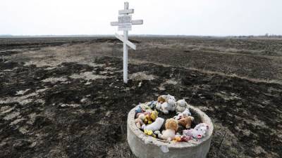 Нидерланды о роли Украины в крушении MH17: Она просто не виновата, и все
