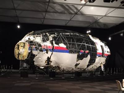 Нидерланды отказались расследовать решающий фактор в крушении MH17 на Донбассе
