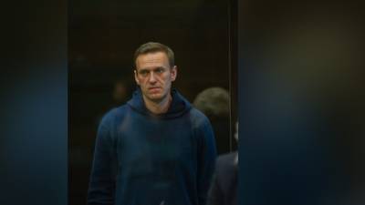 "Говорит для западных партнеров": Гаспарян объяснил заявления Навального в суде