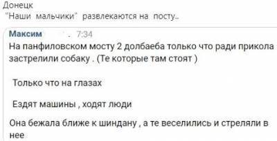 В Донецке два террориста «ДНР» застрелили собаку на Панфиловском мосту