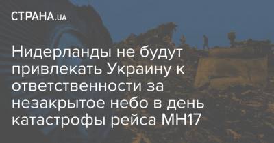 Нидерланды не будут привлекать Украину к ответственности за незакрытое небо в день катастрофы рейса МН17