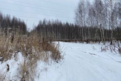 МЧС предупредило об аномальном холоде в Тульской области с 7 по 11 февраля