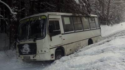 В Ленобласти столкнулись два автобуса, пострадали пять пассажиров