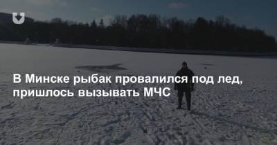 В Минске рыбак провалился под лед, пришлось вызывать МЧС