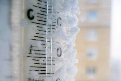 МЧС предупредило рязанцев об аномальных морозах с 7 по 11 февраля