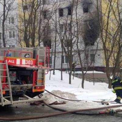 Двое детей погибли в результате пожара в Новой Москве