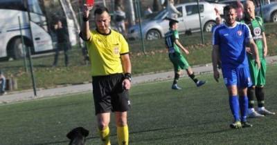 Наглый пес сорвал футбольный матч в Сербии: арбитр показал животному красную карточку