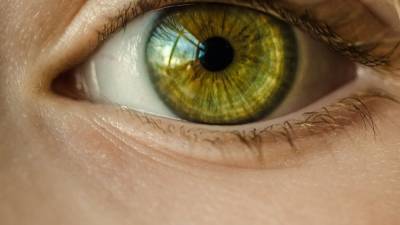Синяки под глазами могут указывать на нарушение работы внутренних органов
