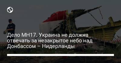 Дело MH17. Украина не должна отвечать за незакрытое небо над Донбассом – Нидерланды