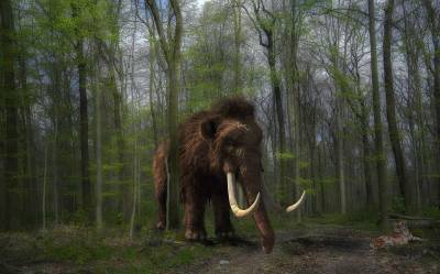 Ученые обнаружили на Урале кости мамонта и вымершего гигантского оленя