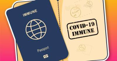 Финляндия следом за Данией решила ввести "паспорт вакцинации"
