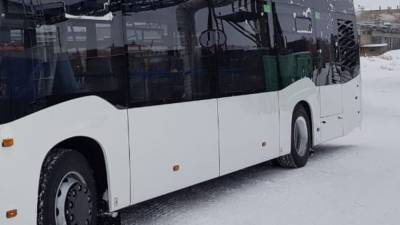 Житель Ленобласти погиб под колесами автобуса