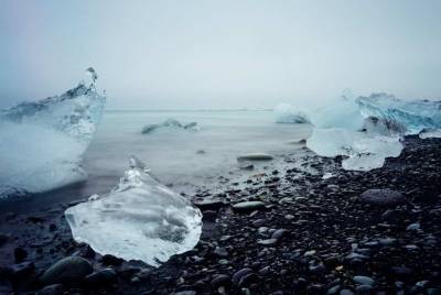 Ученые: Во льдах Арктики обнаружили «маленького монстра» с плоской головой
