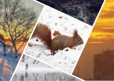 Зимнее солнце и Гродненщина в снегу: топ-10 атмосферных фото из соцсетей