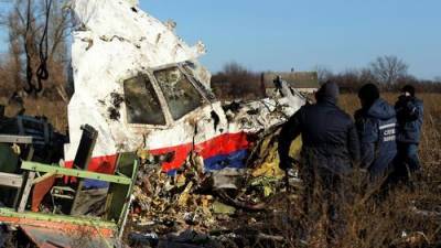 Нидерланды упорно выгораживают Украину в деле о сбитом Боинге рейса MH17