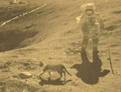 Кто был первым на луне – астронавт, мячик или кошка