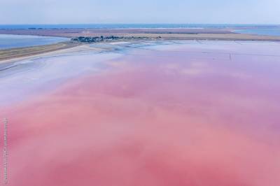Розовым озером на Херсонщине теперь можно "гулять" виртуально: новый 3D-тур