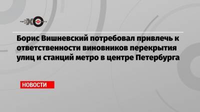 Борис Вишневский потребовал привлечь к ответственности виновников перекрытия улиц и станций метро в центре Петербурга