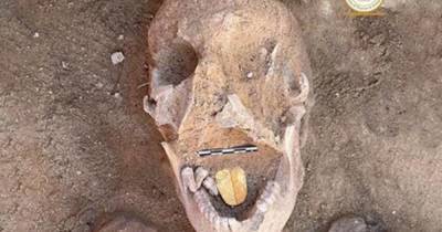 В Египте раскопали мумию с золотым языком