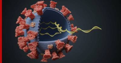 Лечение пациента с COVID-19 плазмой привело к возникновению новых мутаций