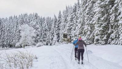 В Башкирии пара лыжников заблудилась и замёрзла в зимнем лесу