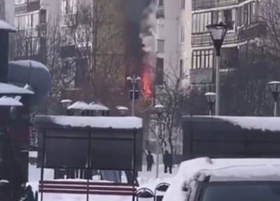 На пожаре в Новой Москве мать прыгнула с 9-го этажа, оставив детей задыхаться