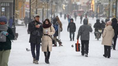 Синоптики пообещали москвичам небольшой снегопад и похолодание