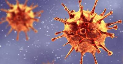 Британские ученые заявили о мутации коронавируса от лечения антителами