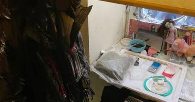 В Харькове милиция изъяла у "закладчицы" наркотиков на 800 тысяч (3 фото)