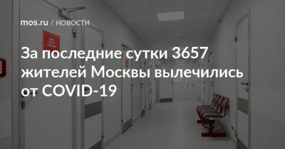За последние сутки 3657 жителей Москвы вылечились от COVID-19