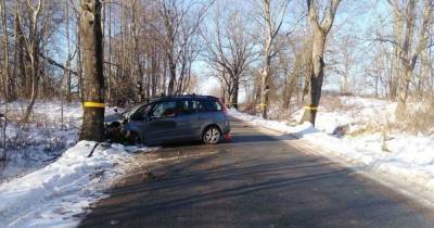 В Зеленоградском районе авто врезалось в дерево, пострадала восьмилетняя пассажирка