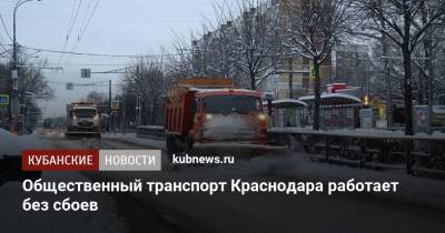 Общественный транспорт Краснодара работает без сбоев