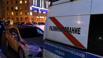 В Приморском районе задержали подозреваемую в лже-минировании отдела полиции