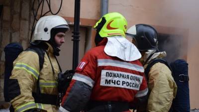 Спасатели вывели двух детей из горящего дома в Петербурге