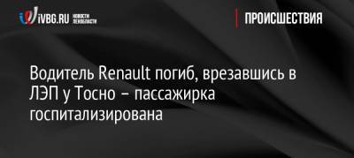 Водитель Renault погиб, врезавшись в ЛЭП у Тосно – пассажирка госпитализирована