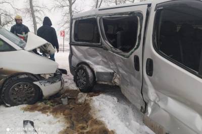 В Тернопольской области Opel влетел в микроавтобус, семеро пострадавших