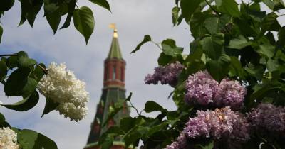 Названы самые популярные у россиян города для отдыха весной