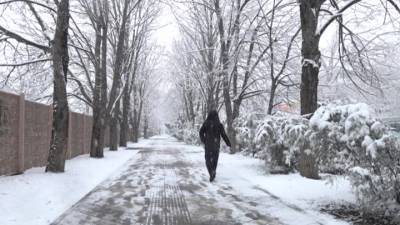 Новости на "России 24". Снегопад остановил работу аэропорта Краснодара