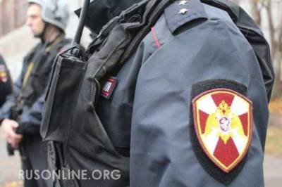 Полиция, росгвардия и военные в центре Петербурга: что происходит? (ФОТО)