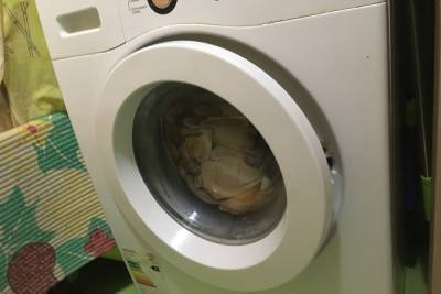 В Смоленске арендатор съехал из квартиры, прихватив стиральную машину хозяина
